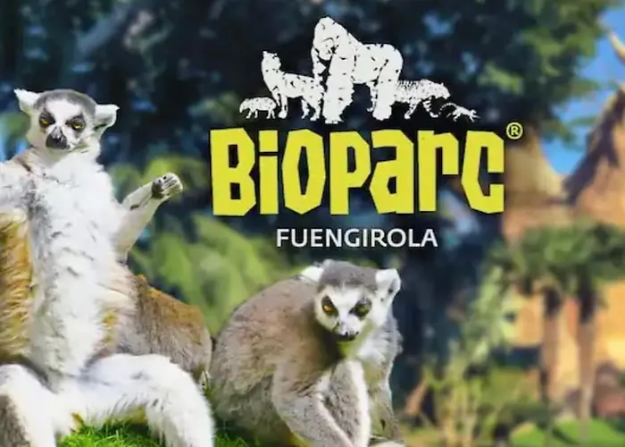 2 Bedrooms Next To The Beach&miramar Shopping Center-swimming Pool-parking